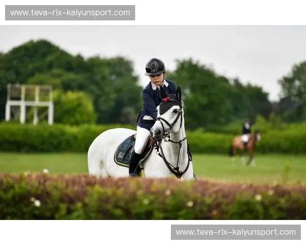 马术分析：用科学解读马匹表现，提升训练与竞赛成果